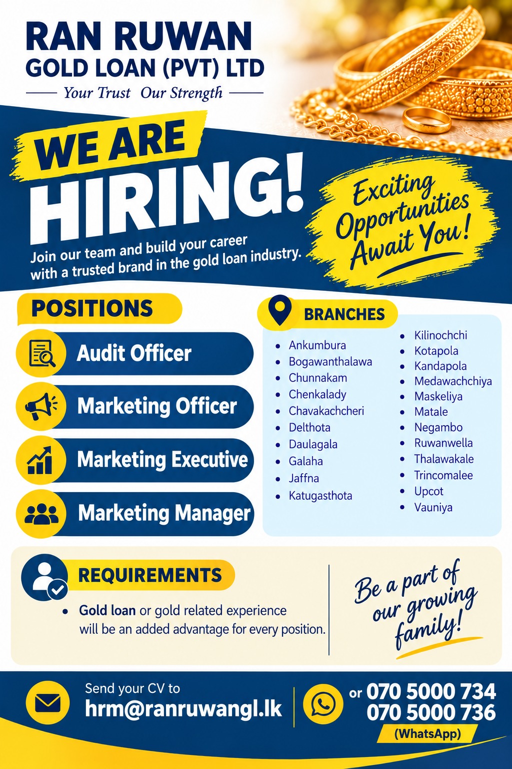 Audit Officer  at Ran Ruwan Gold Loan (pvt) ltd  Banner