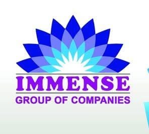 Immense Group of Companies Logo