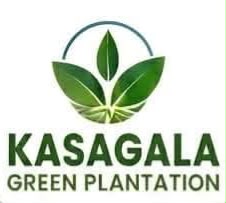 Kasagala Green Plantation  Logo